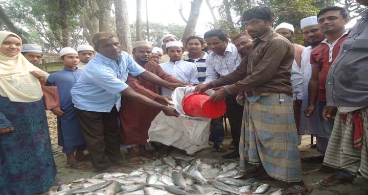 ভেদরগঞ্জে ১৬মণ জাটকাসহ ৩জন আটক